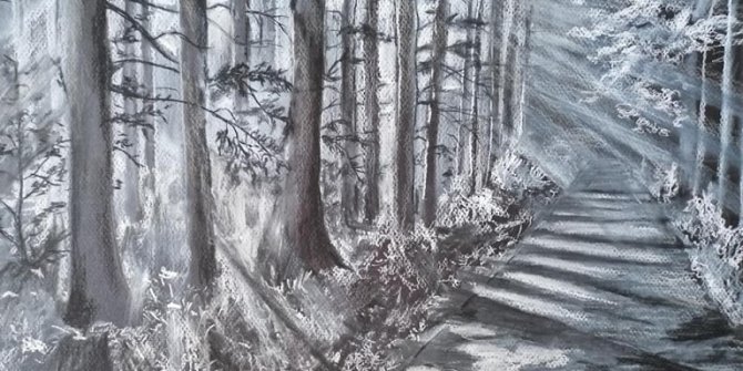 Resimlerin gelirleri lösemili çocuklara