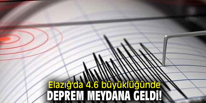 Elazığ'da 4.6 büyüklüğünde deprem meydana geldi!