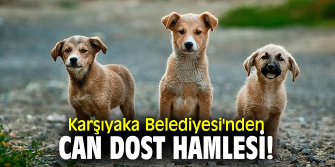 Karşıyaka Belediyesi'nden can dost hamlesi!