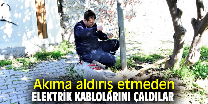 Bornova'da parklar saldırı altında