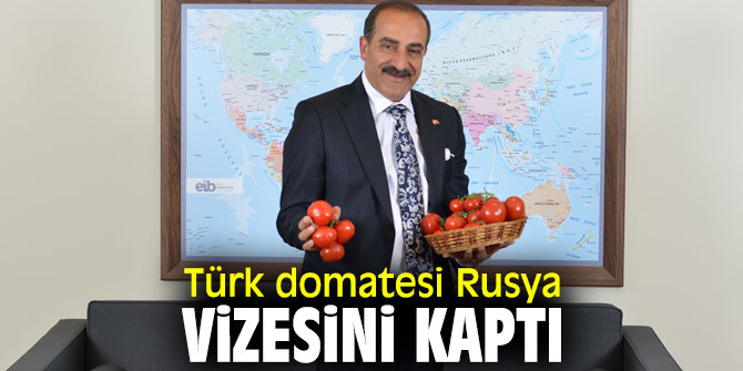 Rusya’ya 150 bin ton olan domates ihracat kotası 50 bin ton arttırıldı