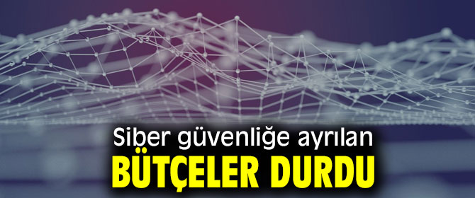 Siber Saldırılar Doğal Afetler Kadar Önemsenmeli!