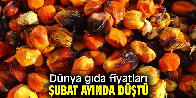 Coronovirus salgını FAO Gıda Fiyat Endeksini düşürdü!