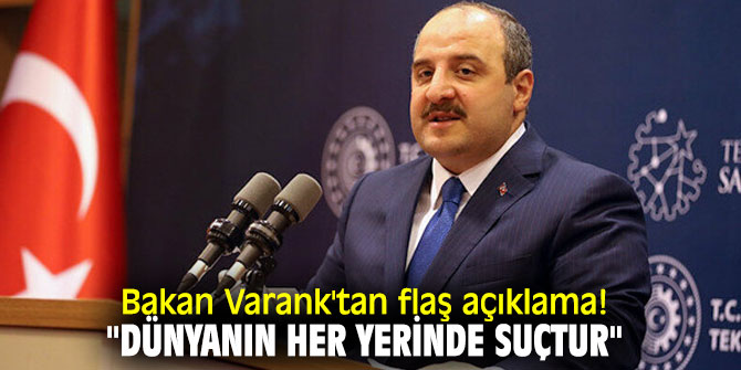 Bakan Varank'tan flaş açıklama! "Dünyanın her yerinde suçtur"