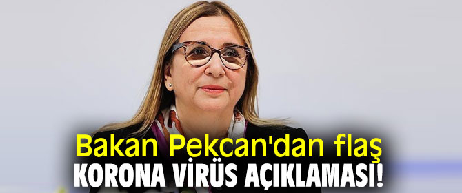 Bakan Pekcan'dan flaş korona virüs açıklaması!