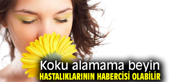 Dikkat! Koku alamama beyin hastalıklarının habercisi olabilir