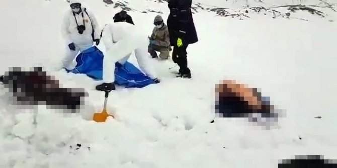 Van sınırında 7 ceset bulundu!