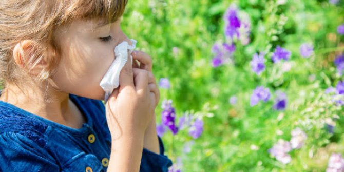 Dikkat! Bahar alerjisini soğuk algınlığı ile karıştırmayın