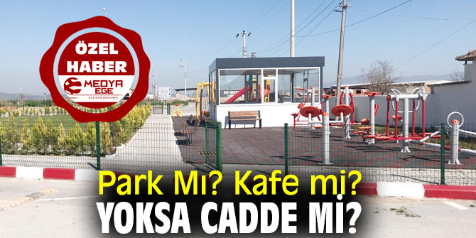 Park Mı? Kafe mi? Yoksa Cadde mi?