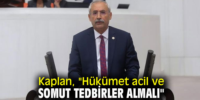 Kaplan, "Hükümet acil ve somut tedbirler almalı"