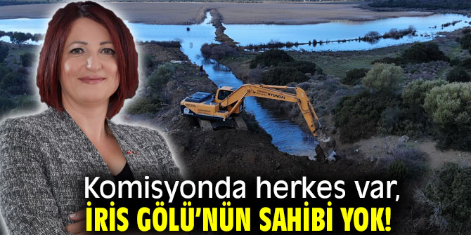 Komisyonda herkes var, İris Gölü’nün sahibi yok! 