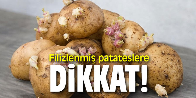 Filizlenmiş patateslere dikkat! Hasta yapabilir...