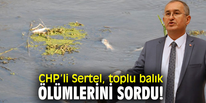 CHP’li Sertel, toplu balık ölümlerini sordu!