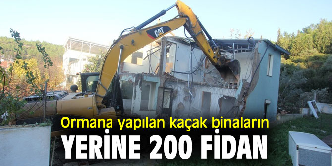 İzmir'de Ormana yapılan kaçak binaların yerine 200 fidan