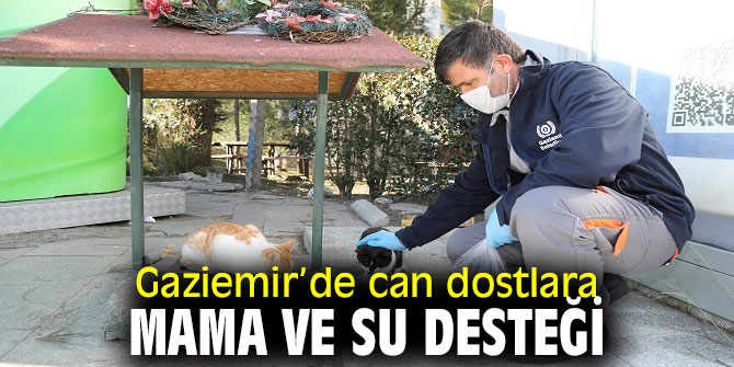 Gaziemir’de can dostlara mama ve su desteği