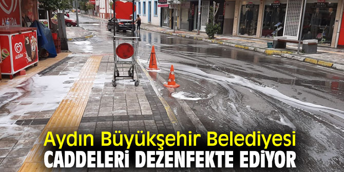 Aydın'da caddeler dezenfekte ediliyor