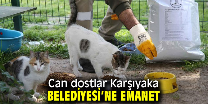 Can dostlar Karşıyaka Belediyesi’ne emanet 