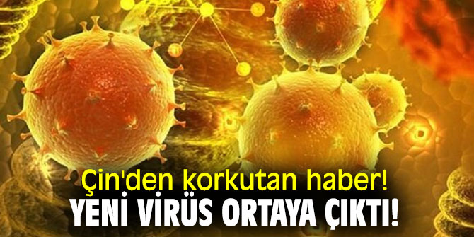 Çin'den korkutan haber! Yeni virüs ortaya çıktı!