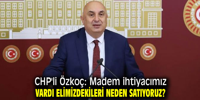Özkoç, "Madem ihtiyacımız vardı elimizdekileri neden satıyoruz?"