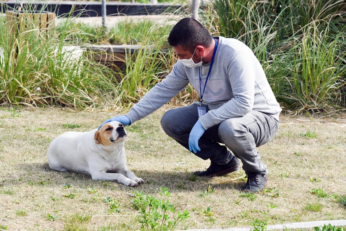 ALİAĞA BELEDİYESİ CAN DOSTLARINI UNUTMADI