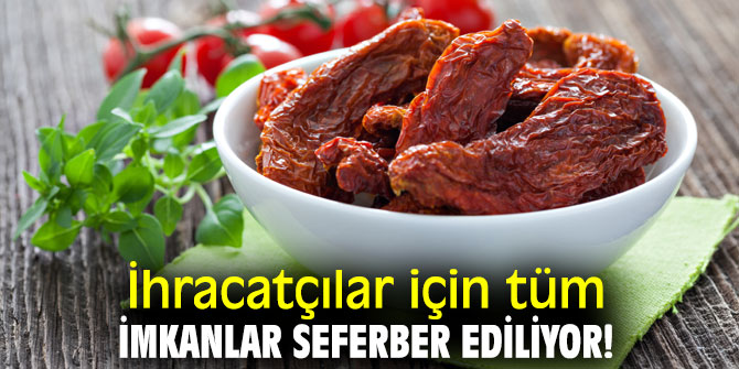 İhracatçılar için tüm imkanlar kullanılıyor