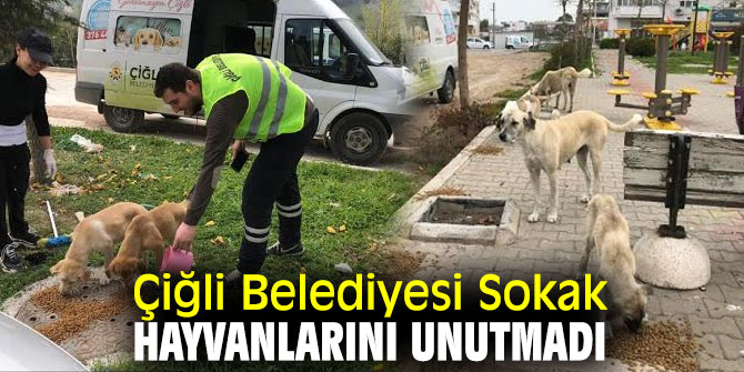 Çiğli Belediyesi'nden sokak hayvanlarına mama ve su 