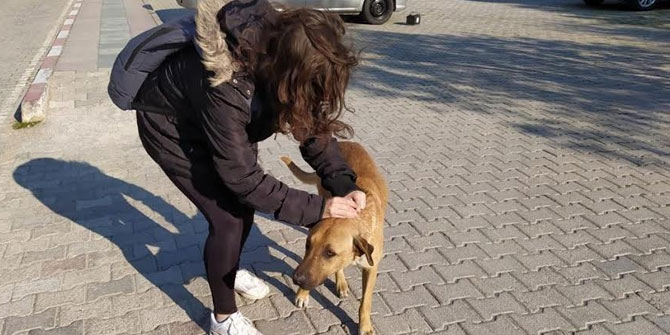 Ege'deki can dostlar yalnız kalmadı!