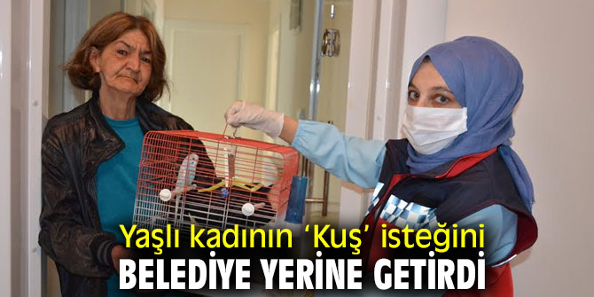 Virüs Gülü’yle yalnızlığı sona erecek