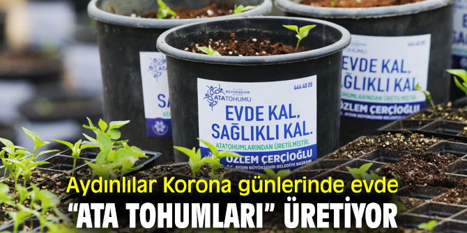 Aydın'da vatandaşlar korona günlerinde evde “Ata Tohumları” üretiyor