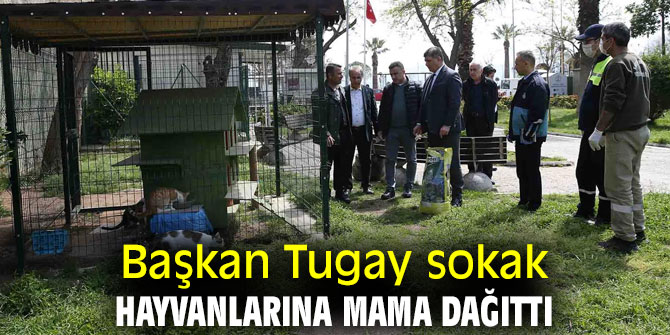 Başkan Tugay'dan sokak hayvanlarına mama