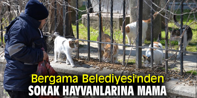 Bergama Belediyesi'nden sokak hayvanlarına mama