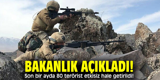 Bakanlık açıkladı! Son bir ayda 80 terörist etkisiz hale getirildi!