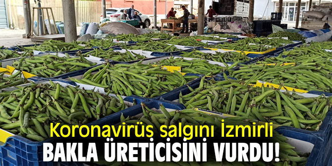 Koronavirüs salgını İzmirli bakla üreticisini vurdu!