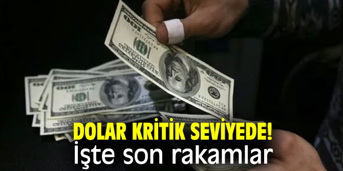 Dolar kritik seviyede! İşte son rakamlar...