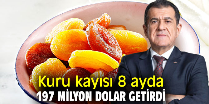 Kuru kayısının ihracatının yüzde 40’ı Ege’den