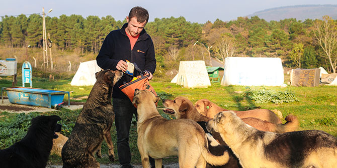 Markamama, "Her Alışverişte 1 Kg Mama Da Sokaktaki Canlar İçin!"