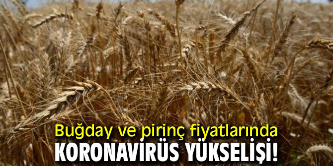 Buğday ve pirinç fiyatlarında koronavirüs yükselişi!