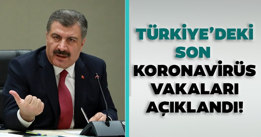 Vaka sayısı 4117, vefat eden kişi sayısı da 87 olarak açıklandı.