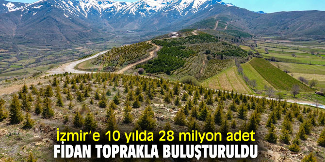 İzmir’e 10 yılda 28 milyon adet fidan toprakla buluşturuldu