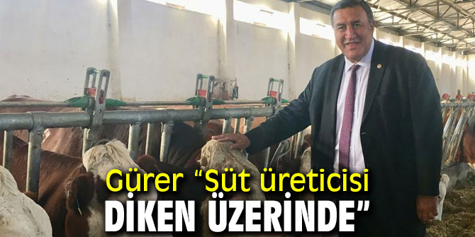 Gürer: “Süt üreticisine seçim öncesi desteği dahi verilmedi!”