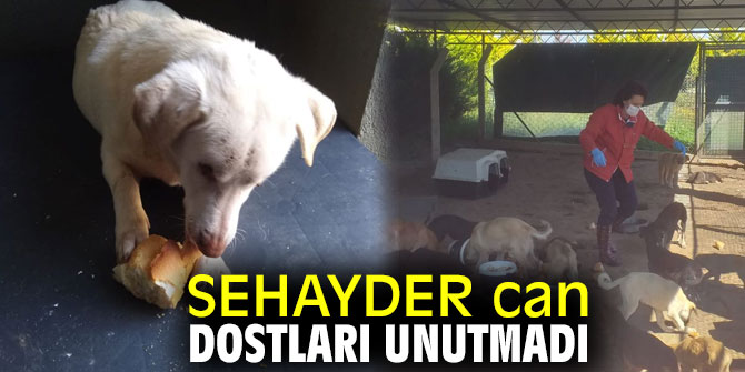 SEHAYDER can dostları unutmadı!