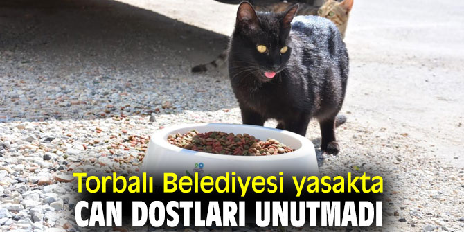 Torbalı'da can dostlar unutulmadı!