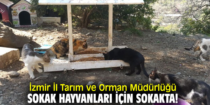 İzmir İl Tarım ve Orman Müdürlüğü, Sokak Hayvanları İçin Sokakta!