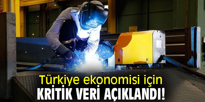Türkiye ekonomisi için kritik veri açıklandı! 