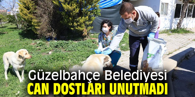 Güzelbahçe Belediyesi Can Dostları Unutmadı