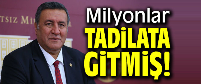 Gürer, "Milyonlar tadilata gitmiş!"