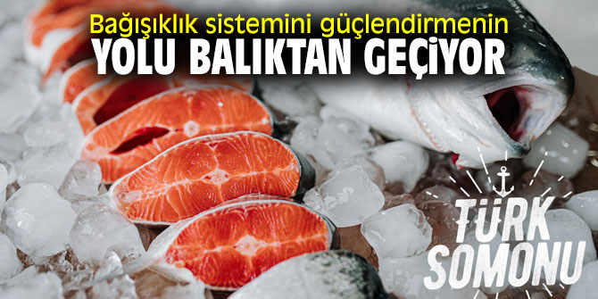 Bağışıklık sistemini güçlendirmenin yolu balıktan geçiyor