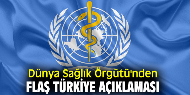 DSÖ'den flaş Türkiye açıklaması