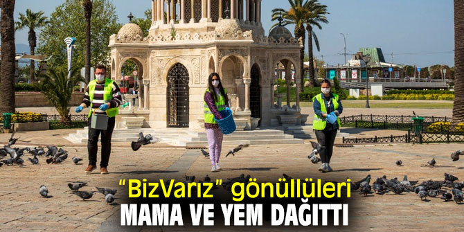 İzmir'de gönüllüler mama ve yem dağıttı