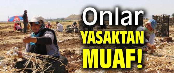 Onlar yasaktan muaf!